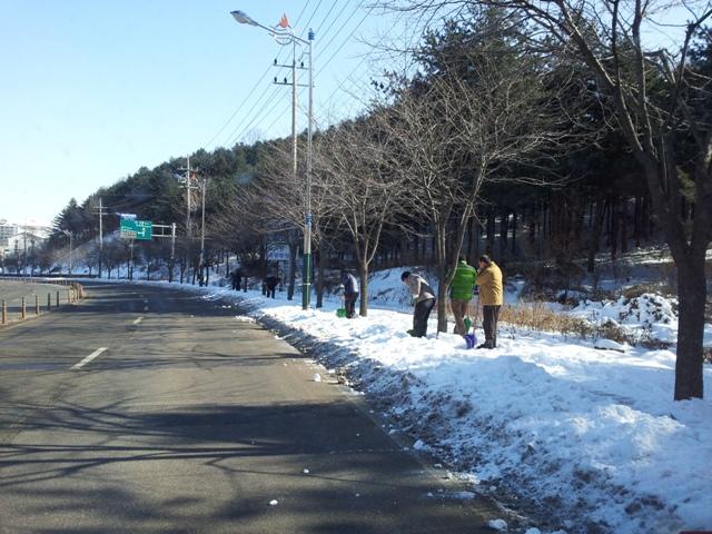 0208_선원면주민자치위원회_제설작업