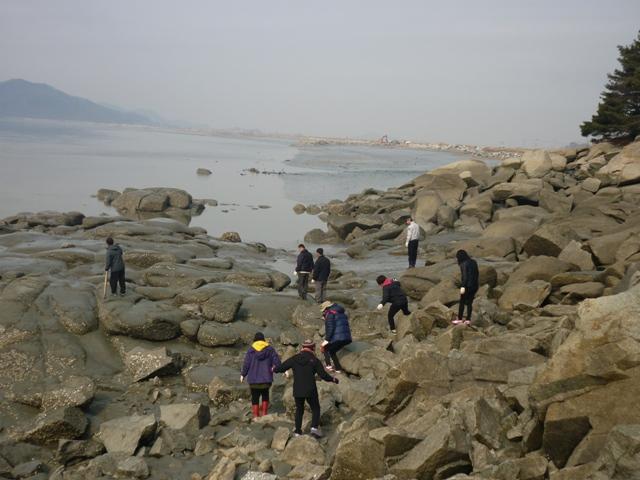 0313_교동면_기관단체_해안가를_수색하고_있다