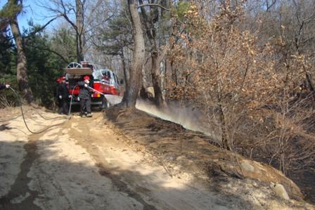 0322_산불진화_장면