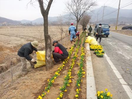 0405_양도면_특색있는_꽃동산_조성