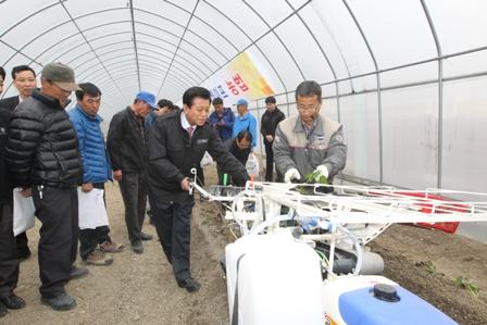 0410_유천호_군수가_고구마묘_식재를_시연1