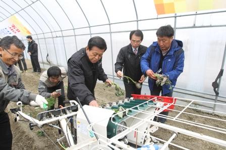 0410_유천호_군수가_고구마묘_식재를_시연2