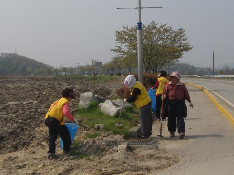 0508_불은면_적십자봉사회_쓰레기_수거
