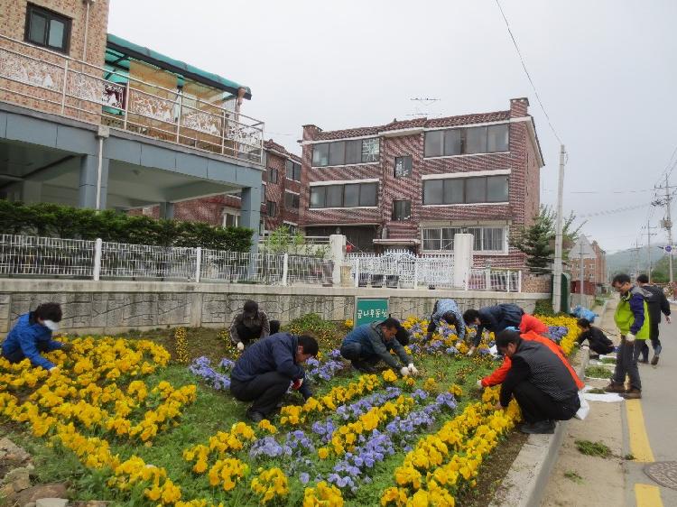0521_강화읍주민자치위원회_환경정화_활동