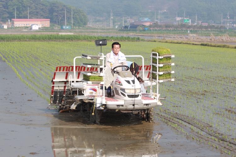 0524_모내기_시연1