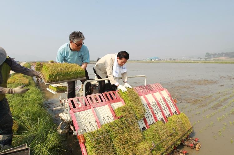 0524_모내기_시연2