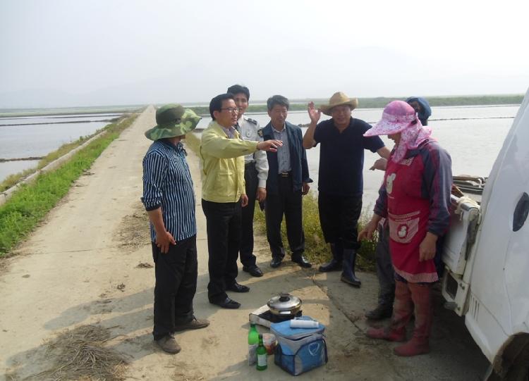 0527_양도면_모내기_현장방문