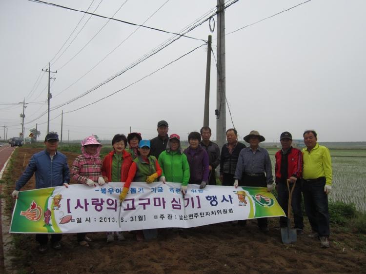0604_삼산면주민자치위원회_고구마_심기_행사