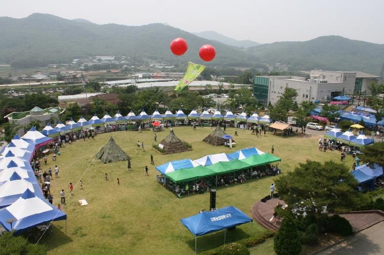 0607_약쑥축제홍보
