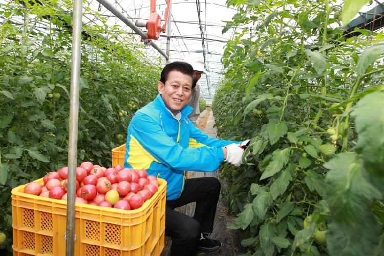 0611_토마토_시설재배현장_방문2