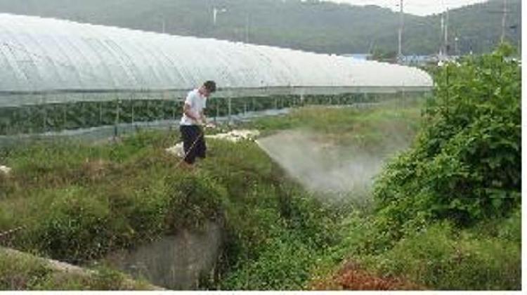 0620_강화군_말라리아_방역활동2