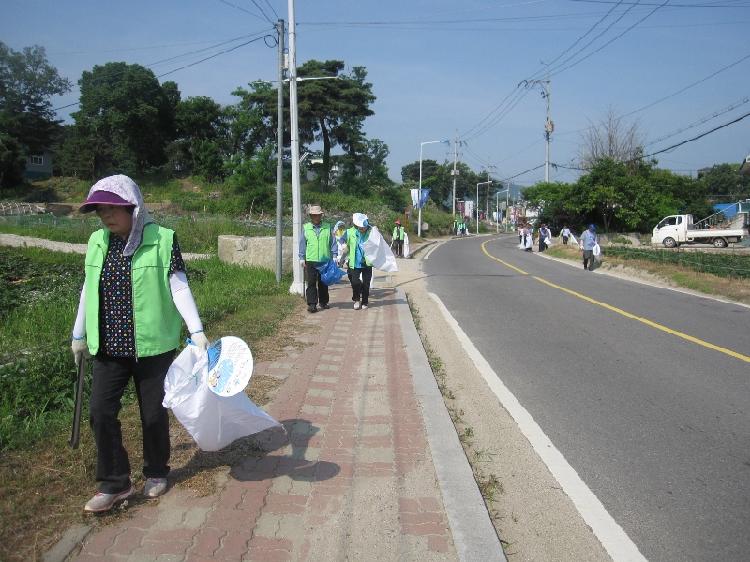 0627_화도면_도로변_일제_대청소