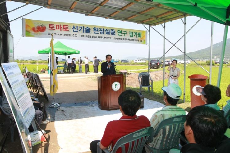 0703_토마토_시설재배_신기술_도입_평가회2