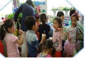 0708_강화군_불소도포사업2