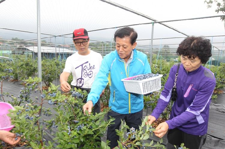 0711_유천호군수_블루베리_농장_방문