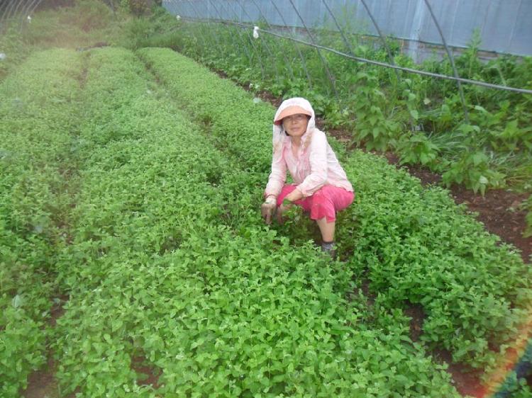 0712_강소농_공효순