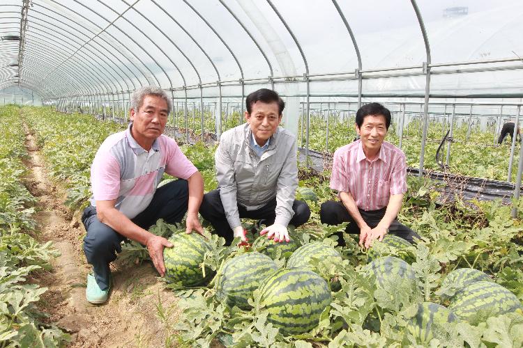 0719_유천호_군수_수박출하현장_방문1