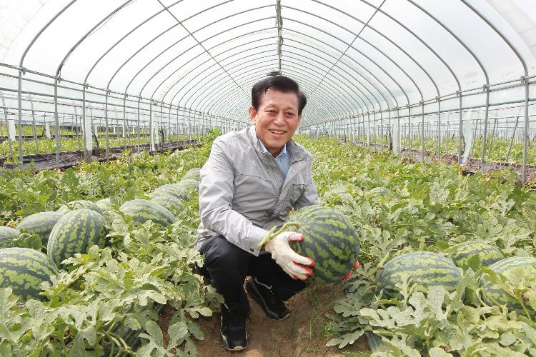 0719_유천호_군수_수박출하현장_방문2