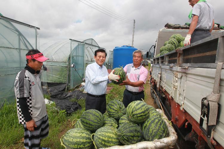 0719_유천호_군수_수박출하현장_방문3