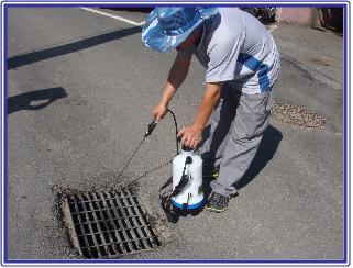 0724_강화군_날벌레_방역활동