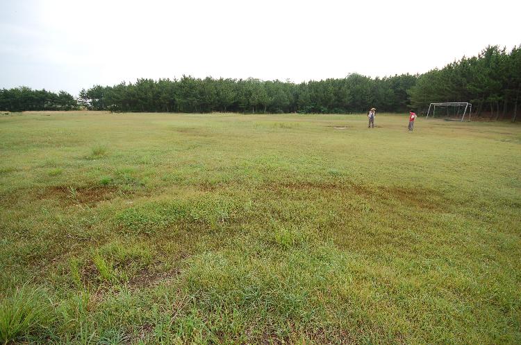 0725_대빈창해수욕장1