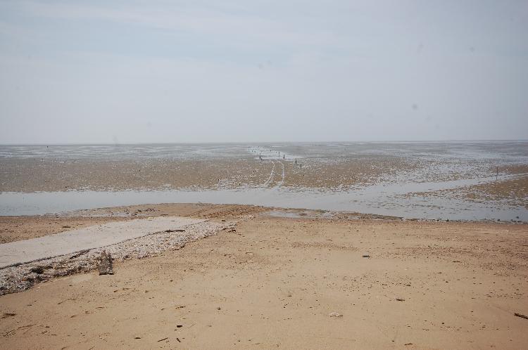 0725_뒷장술해수욕장