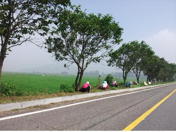 0726_양도면_여성단체_환경정비1