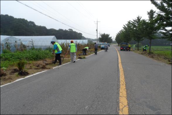 0731_선원면_특색있는_거리조성