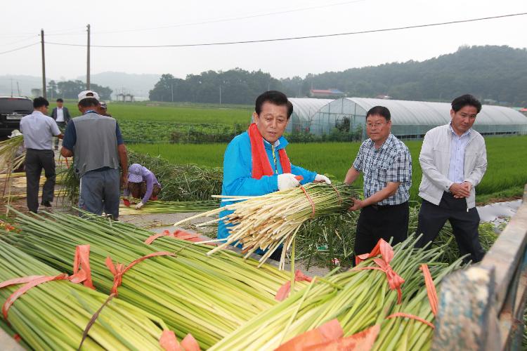 0805_유천호_군수_왕골재배현장_방문3