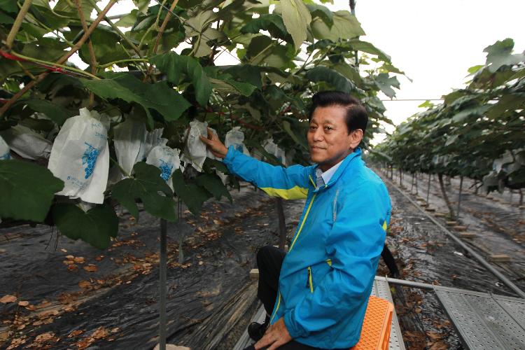 0806_무동력_운송레일_설치_중간평가2