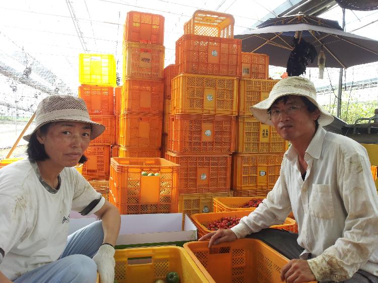 0808_강소농_최영헌