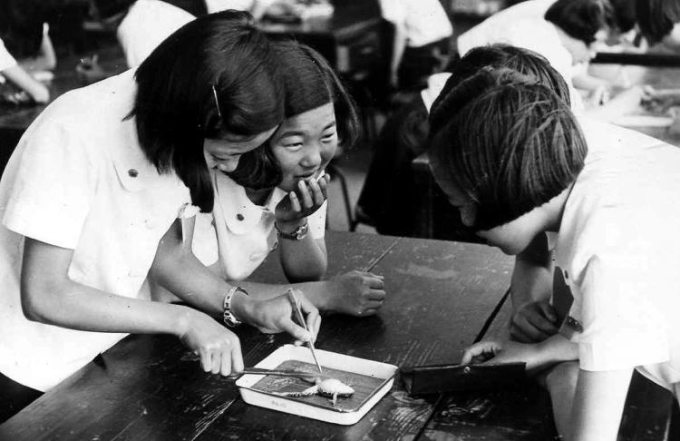 0813_강화_옛교육_사진(개구리실험1974)