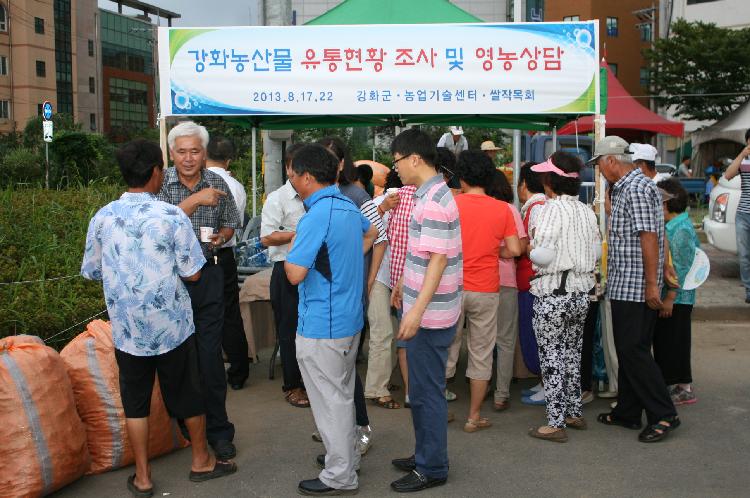 0820_강화풍물시장_고추시장_개장2