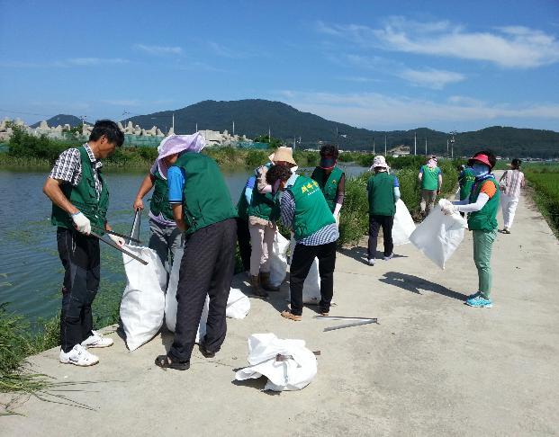 0820_양도면_새마을지도자협회의_환경정화_활동