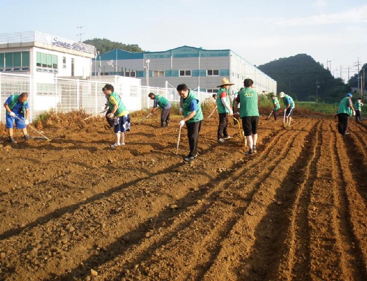 0823_강화읍새마을지도자협의회_순무식재