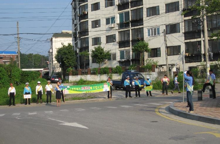 0827_강화군_교통캠페인