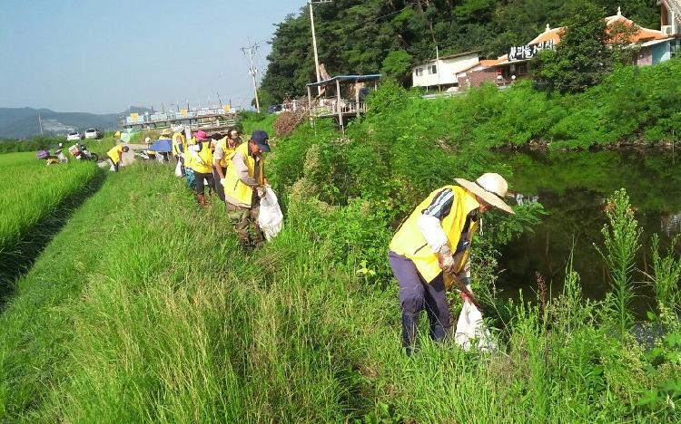 0829_송해면주민자치위원회_하천정화_활동