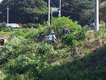 0904_선원면이장단_환경정비