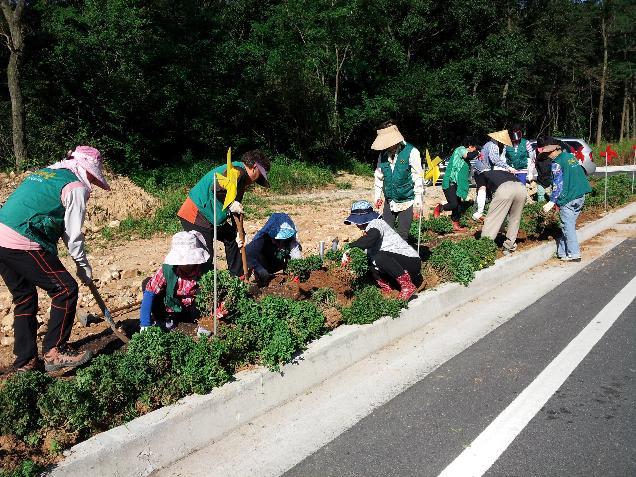 0904_양도면_도로_환경정비