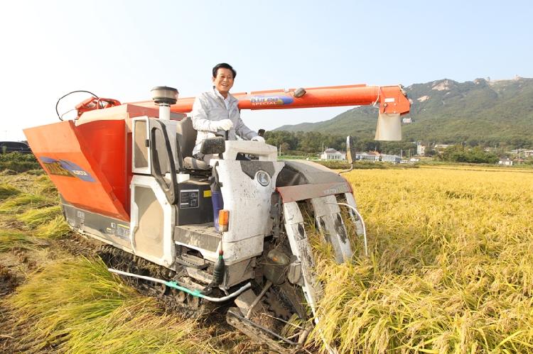 0906_벼베기_시연