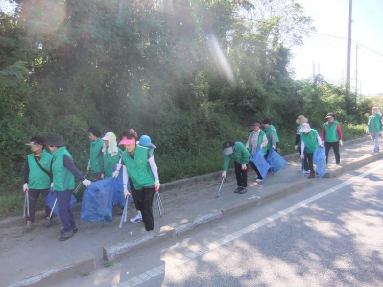0906_강화읍부녀회_환경정비