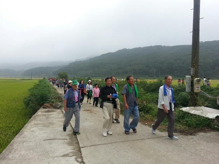 0916_양사면_건강걷기대회1