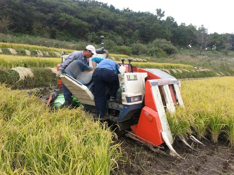 1010_서도면_말도리_농기계_교육2