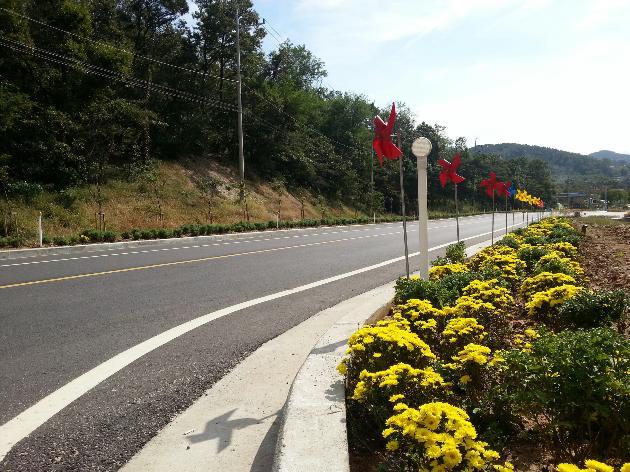 1015_양도면_꽃길1