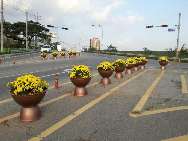 1015_양도면_꽃길3