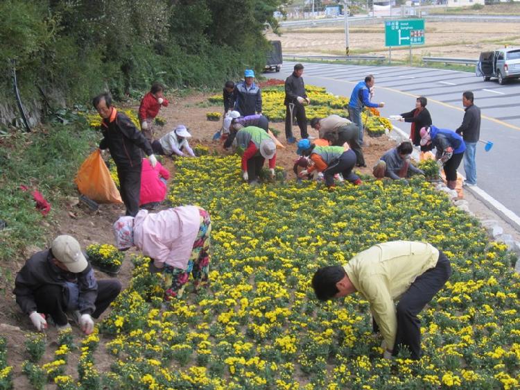 1016_삼산면주민자치위원회_꽃밭조성