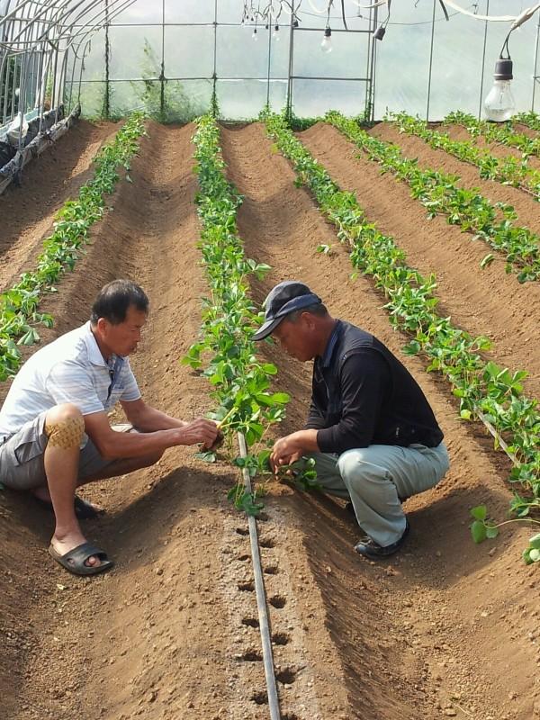 1017_강소농_현장_연수교육(이호준)