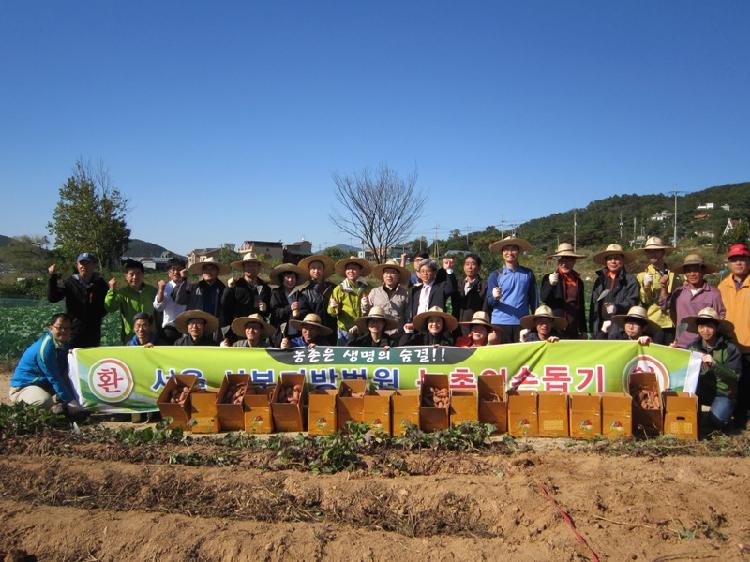 1018_서울지방법원_고구마_캐기_체험행사