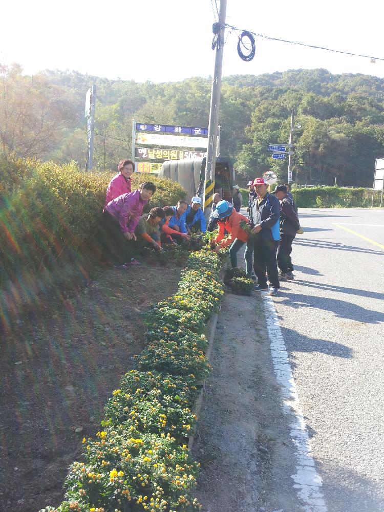 1018_양사면_꽃길_조성