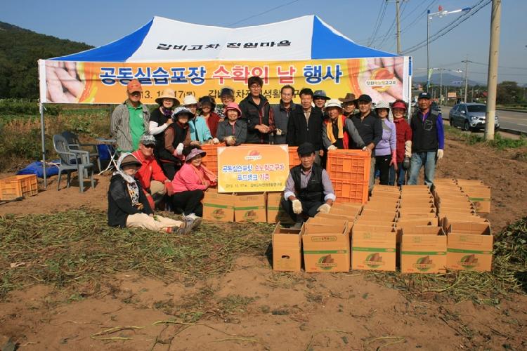 1021_갑비고차전원생활연구회_농산물_수확1